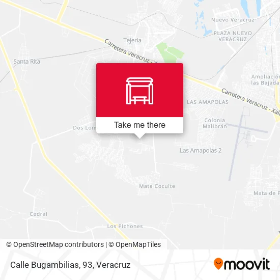 Mapa de Calle Bugambilias, 93