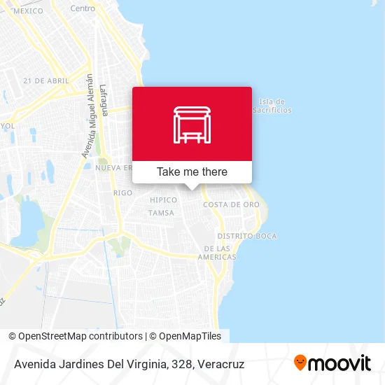 Mapa de Avenida Jardines Del Virginia, 328