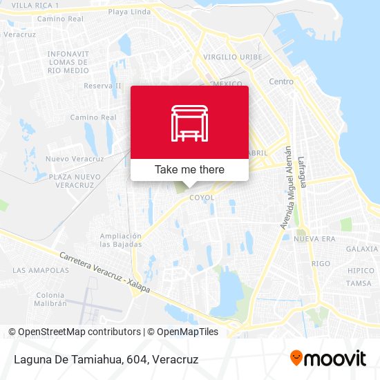Mapa de Laguna De Tamiahua, 604