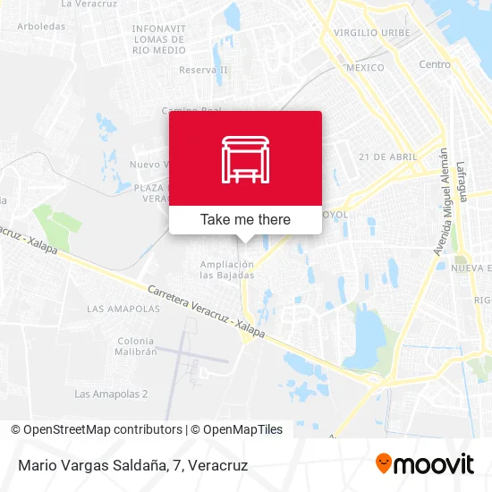 Mapa de Mario Vargas Saldaña, 7
