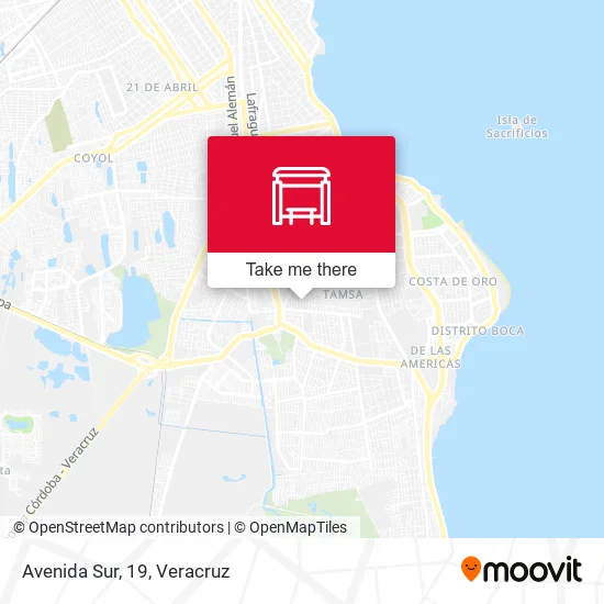 Mapa de Avenida Sur, 19