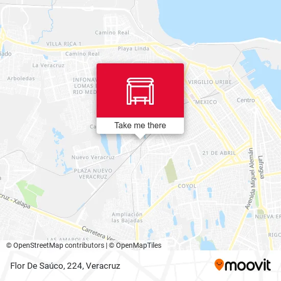 Flor De Saúco, 224 map