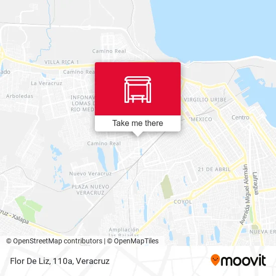 Mapa de Flor De Liz, 110a