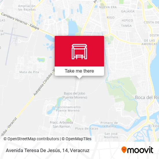 Mapa de Avenida Teresa De Jesús, 14