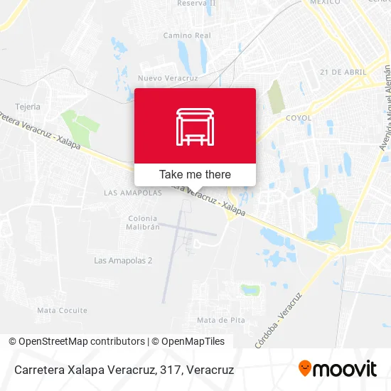 Mapa de Carretera Xalapa Veracruz, 317