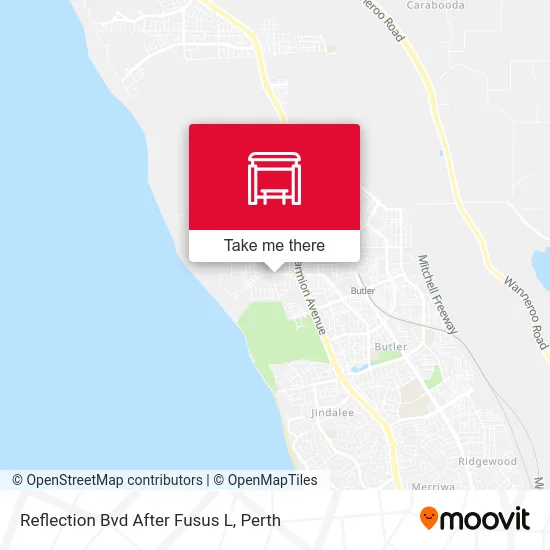 Reflection Bvd After Fusus L map