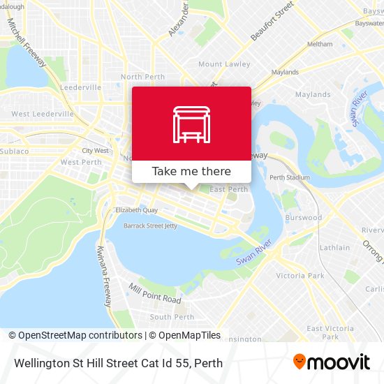 Wellington St Hill Street Cat Id 55 map