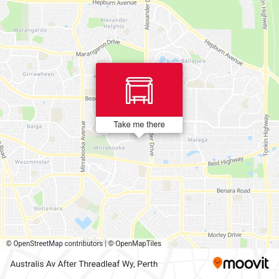 Australis Av After Threadleaf Wy map