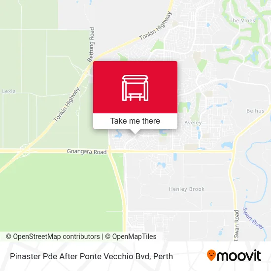 Mapa Pinaster Pde After Ponte Vecchio Bvd