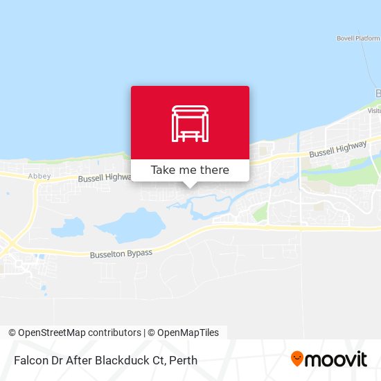 Falcon Dr After Blackduck Ct map