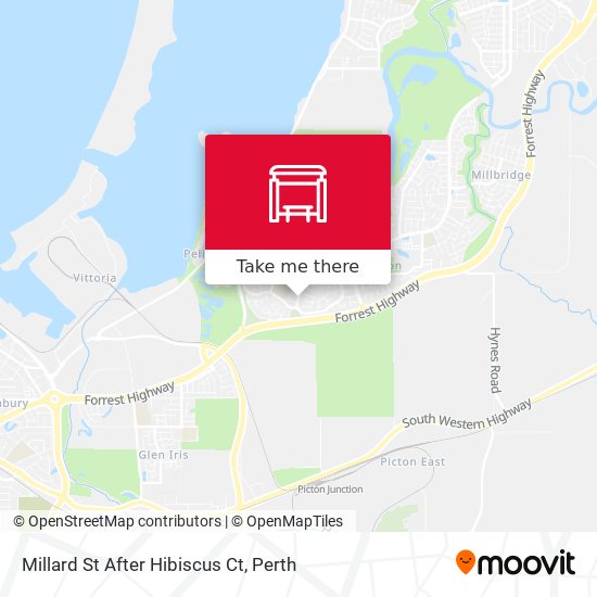 Millard St After Hibiscus Ct map