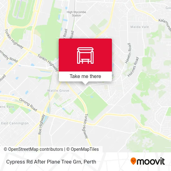 Mapa Cypress Rd After Plane Tree Grn