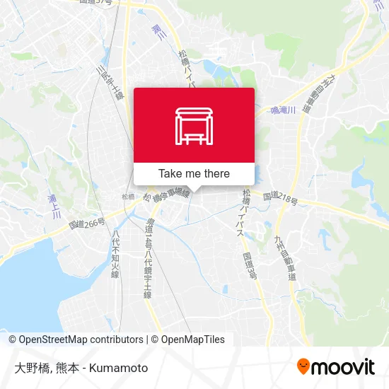 大野橋 map