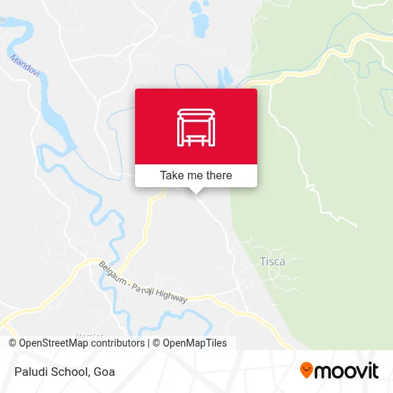 Paludi School map