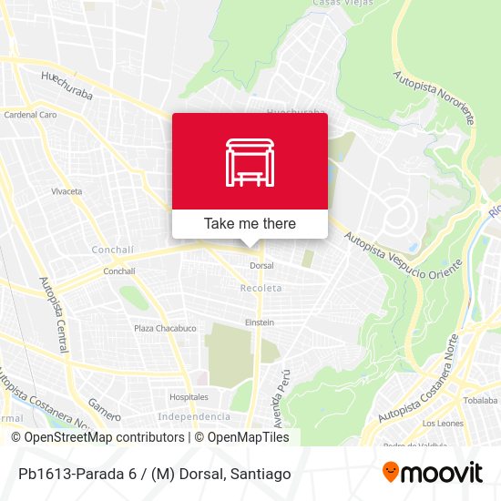 Pb1613-Parada 6 / (M) Dorsal map