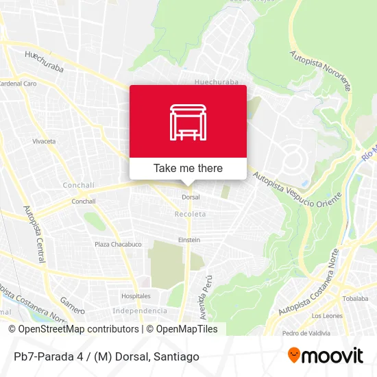 Pb7-Parada 4 / (M) Dorsal map