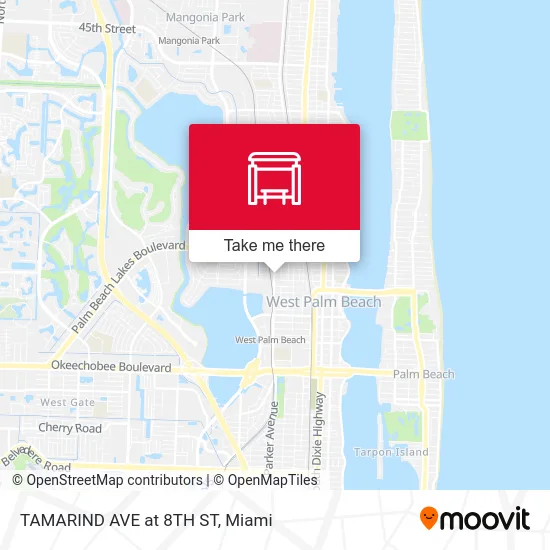 Mapa de TAMARIND AVE at 8TH ST