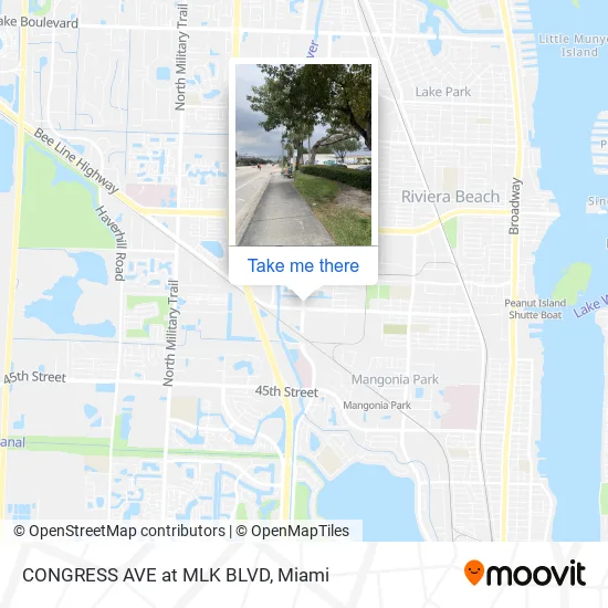 CONGRESS AVE at MLK BLVD map