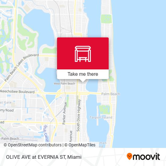 OLIVE AVE at EVERNIA ST map