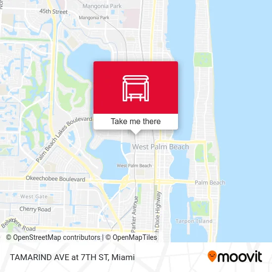 Mapa de TAMARIND AVE at 7TH ST