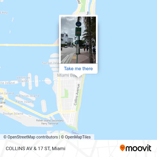 COLLINS AV & 17 ST map