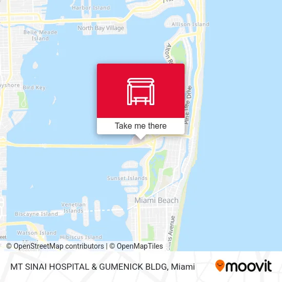 MT SINAI HOSPITAL & GUMENICK BLDG map