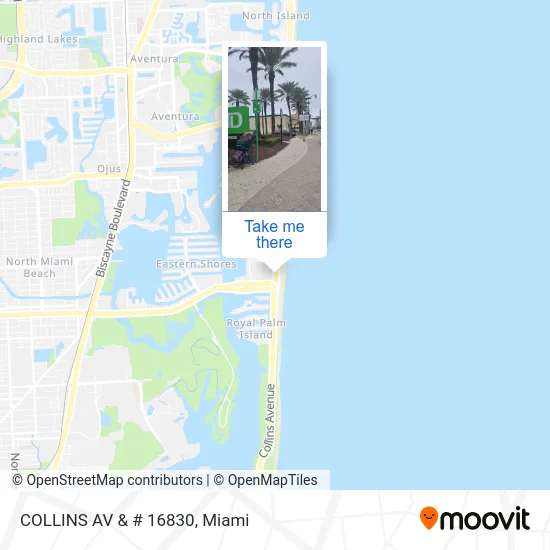 COLLINS AV & # 16830 map