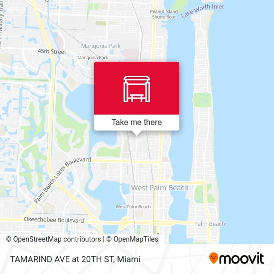 TAMARIND AVE at 20TH ST map