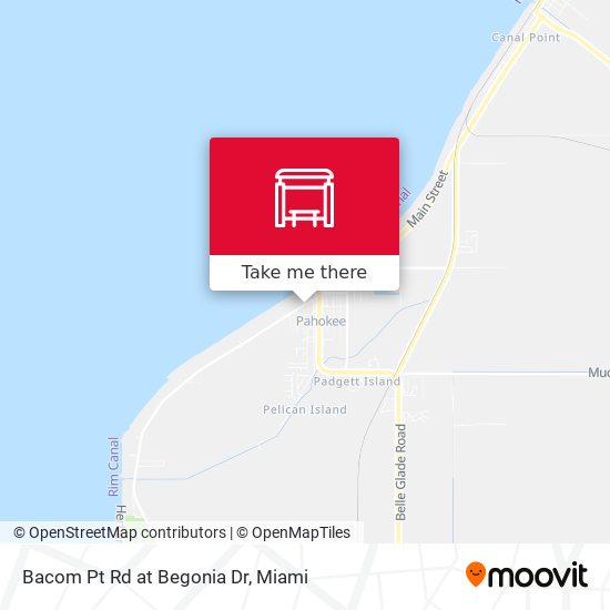 Bacom Pt Rd at Begonia Dr map