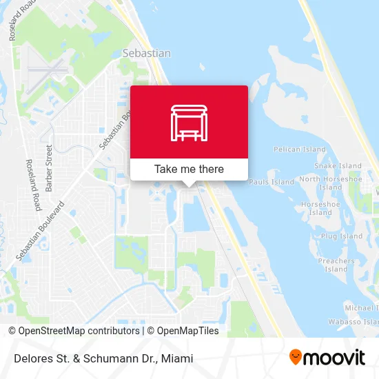 Delores St.  &  Schumann Dr. map
