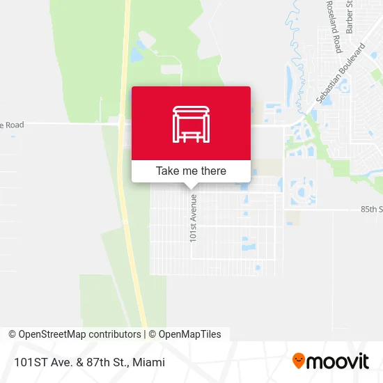 101ST Ave.  &  87th St. map