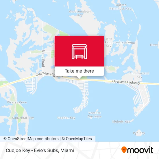 Cudjoe Key - Evie's Subs map