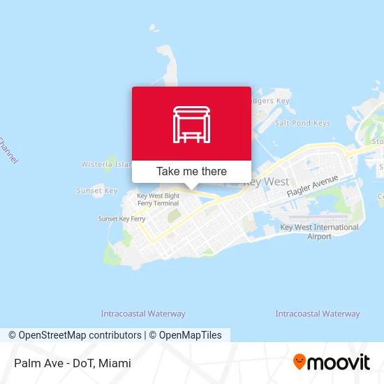 Palm Ave - DoT map
