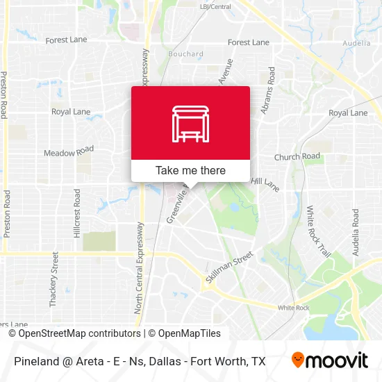 Pineland @ Areta - E - Ns map