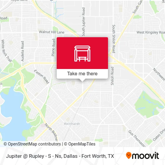 Jupiter @ Rupley - S - Ns map