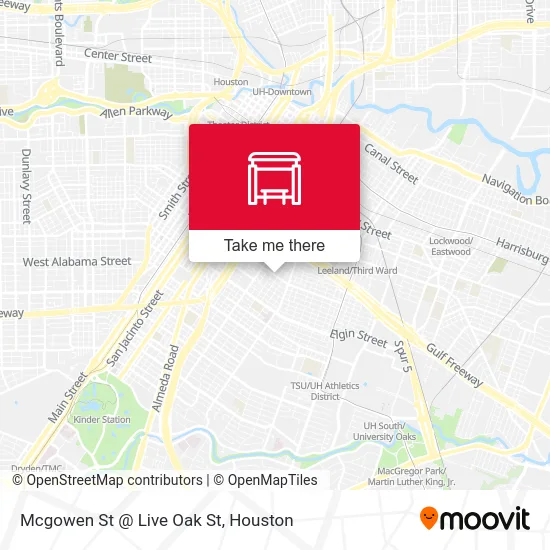 Mcgowen St @ Live Oak St map