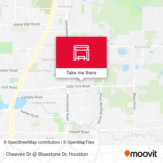 Cheeves Dr @ Bluestone Dr map