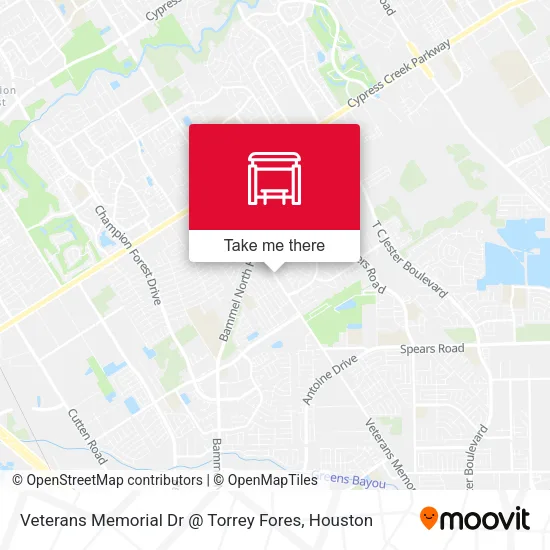 Veterans Memorial Dr @ Torrey Fores map