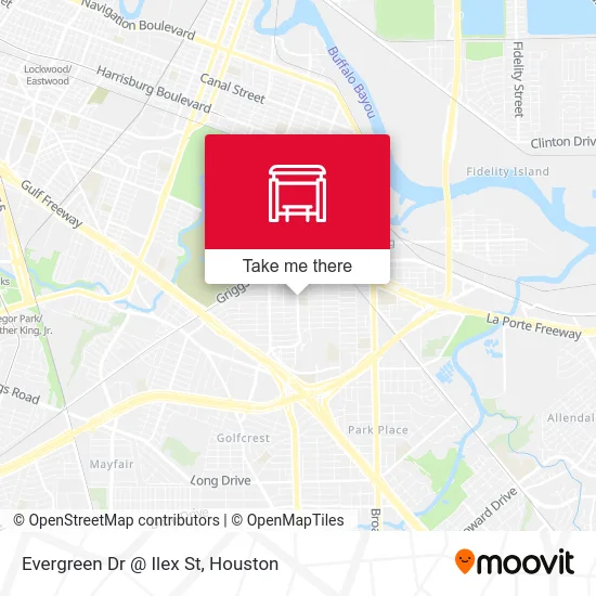 Evergreen Dr @ Ilex St map