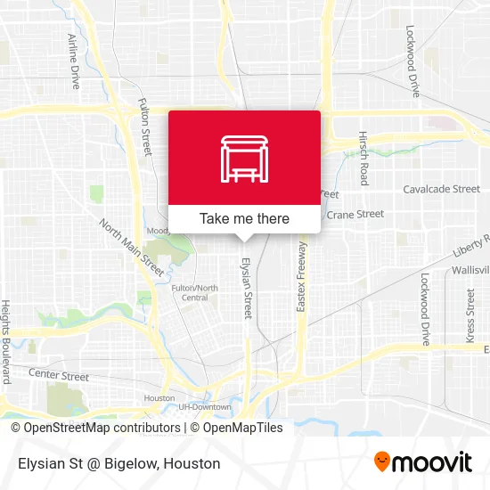 Elysian St @ Bigelow map