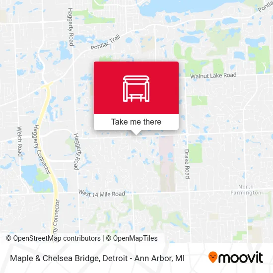 Maple & Chelsea Bridge map