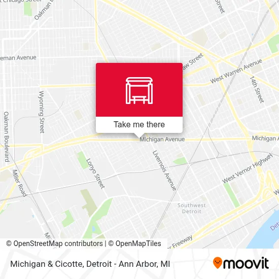 Michigan & Cicotte map