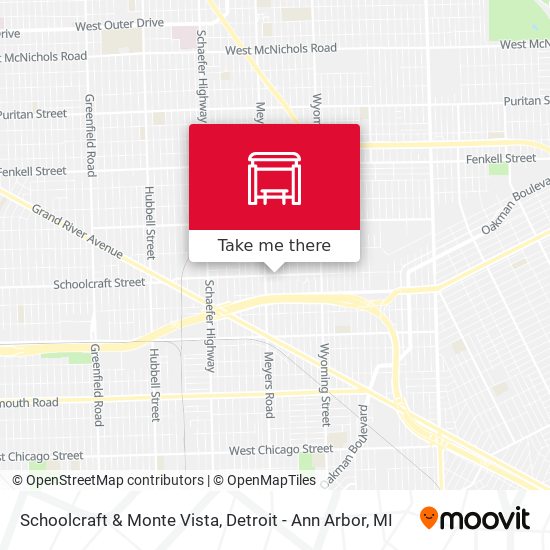 Schoolcraft & Monte Vista map