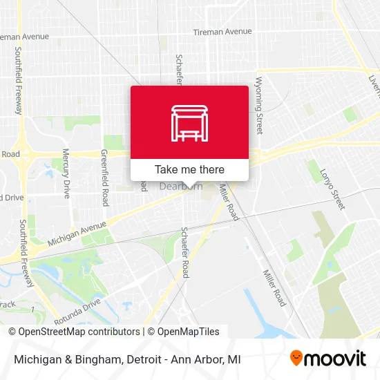 Michigan & Bingham map