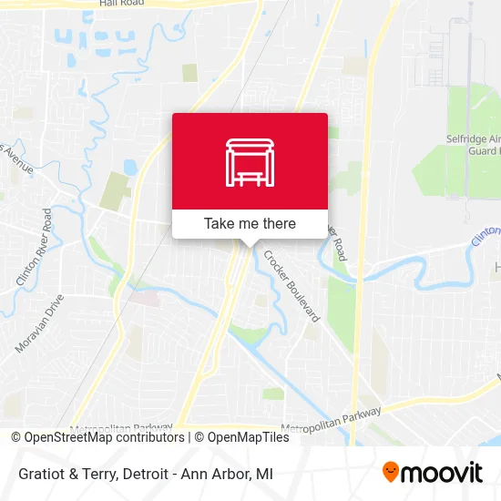 Gratiot & Terry map