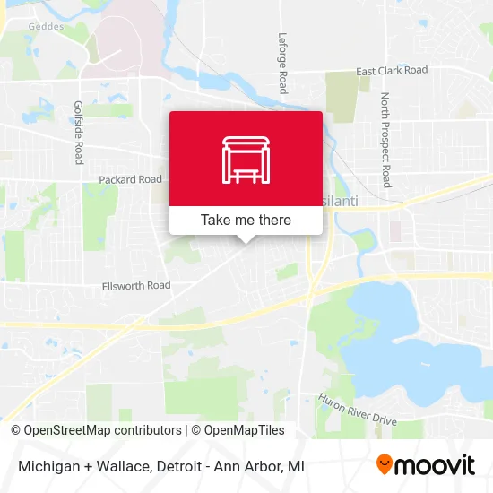 Michigan + Wallace map