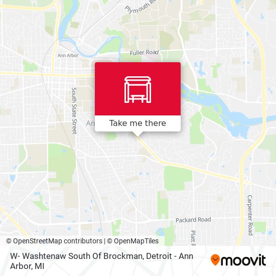 W- Washtenaw South Of Brockman map