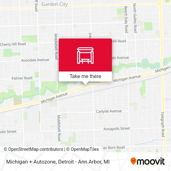 Michigan + Autozone map