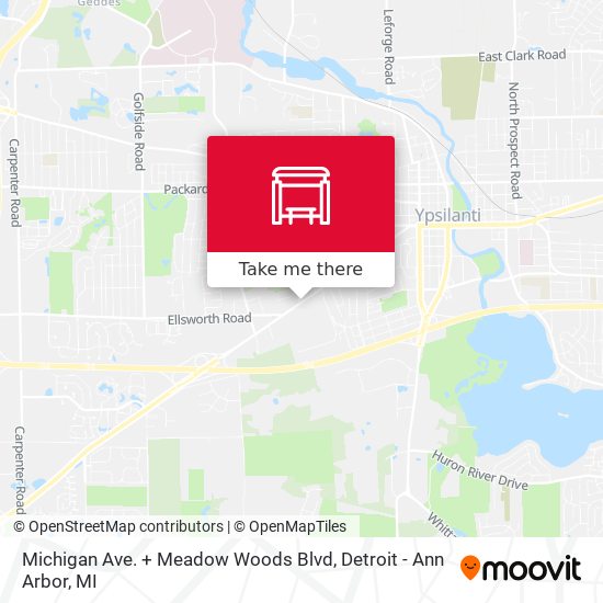 Michigan Ave. + Meadow Woods Blvd map