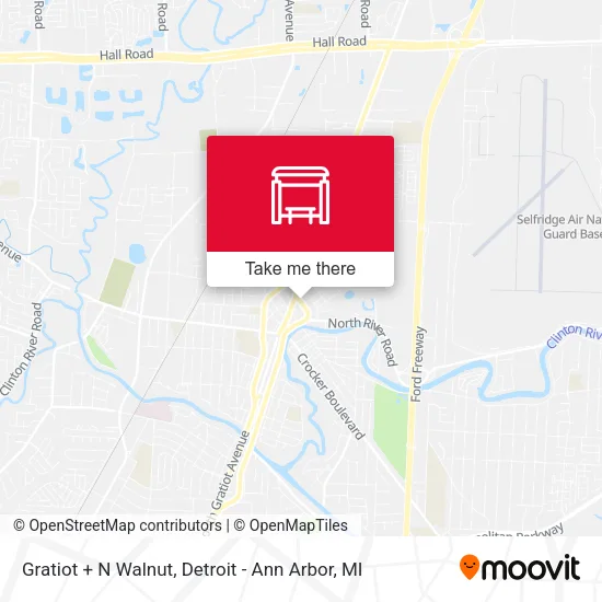 Gratiot + N Walnut map